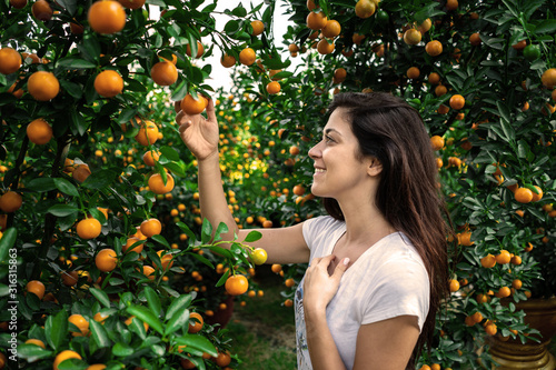 Girl looking at citrus Japonica (mandarin) in the traditional Tet holiday (Lunar new year) in Vietnam, Asia