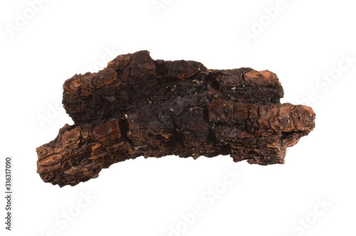 tree bark isolated on white background