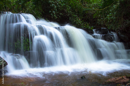 waterfall in forest