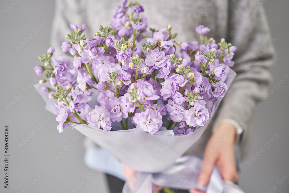 Spring floral. Fresh A bouquet of lilac Mattioli close up. Womens or Mothers Day Theme. Fresh cut flower. Spring floral. Fresh A bouquet of lilac Mattioli close up. Womens or Mothers Day Theme. Fresh cut flower.