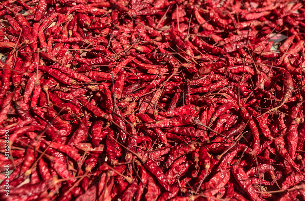 Fototapeta premium dried red hot chili peppers