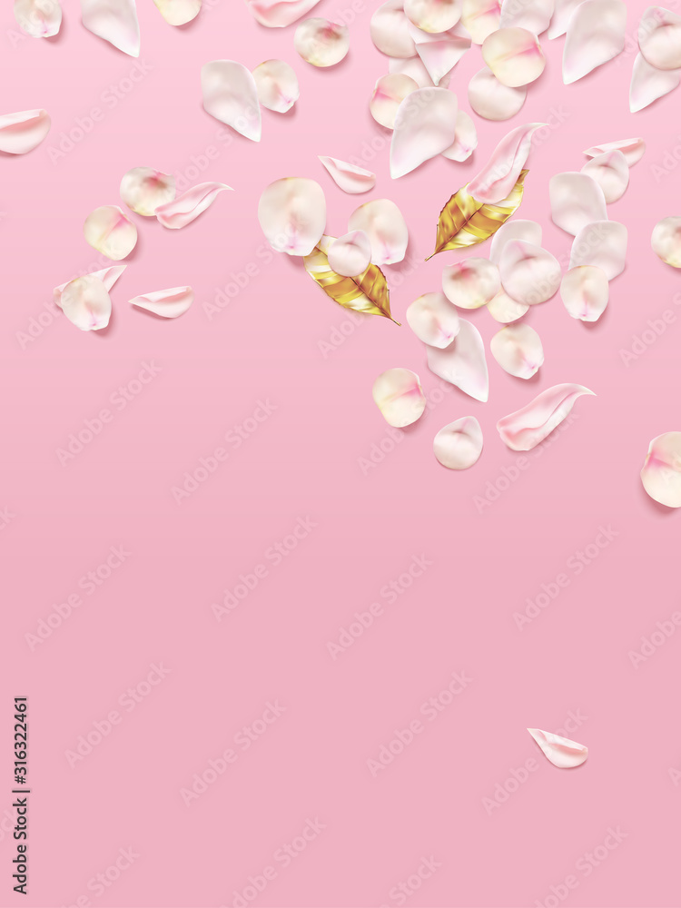 Pink rose petals and golden leaves on pink background. Realistic Vector illustration.