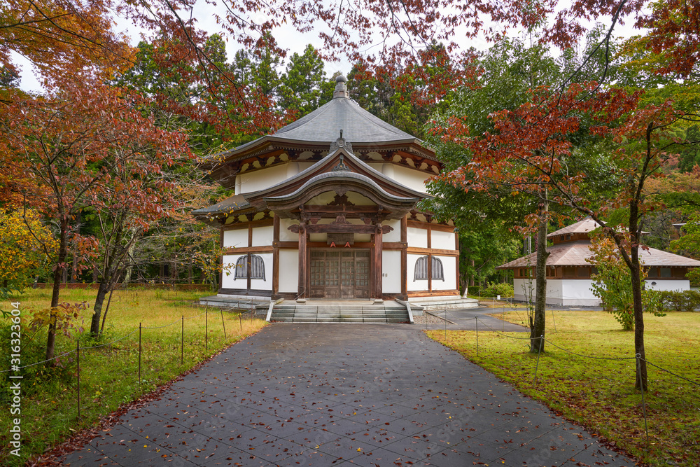 autumn season with colorful leaf in ensoji temple