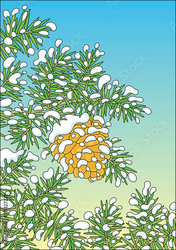 Cone hanging on a snow-covered green prickly fir-tree branch on a cold winter day, vector cartoon illustration