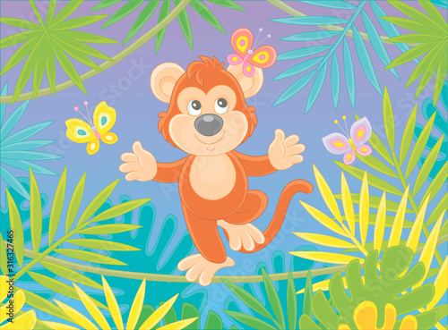 Funny cheerful monkey balan...