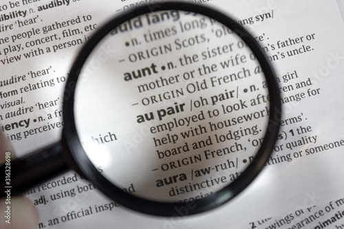 The word of phrase - au pair - in a dictionary.