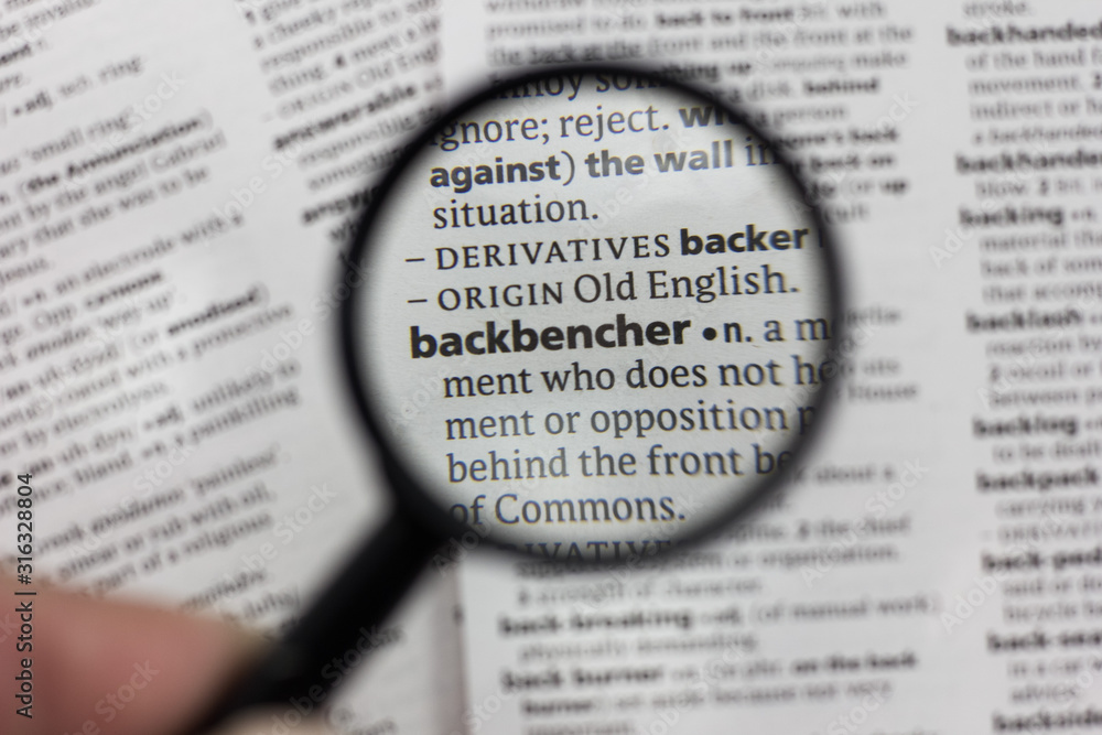 The word or phrase backbencher in a dictionary. The word or phrase backbencher in a dictionary.