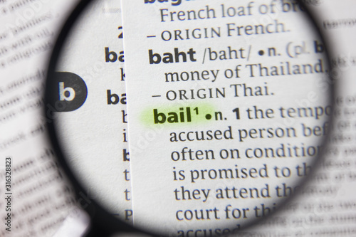 The word or phrase bail in a dictionary.