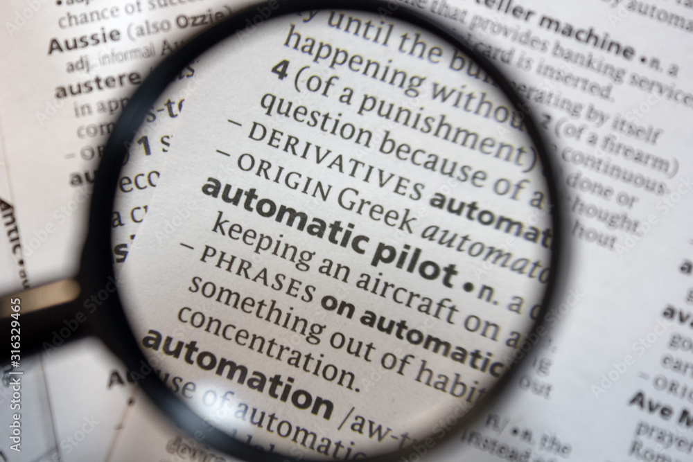 The word of phrase - automatic pilot - in a dictionary. The word of phrase - automatic pilot - in a dictionary.
