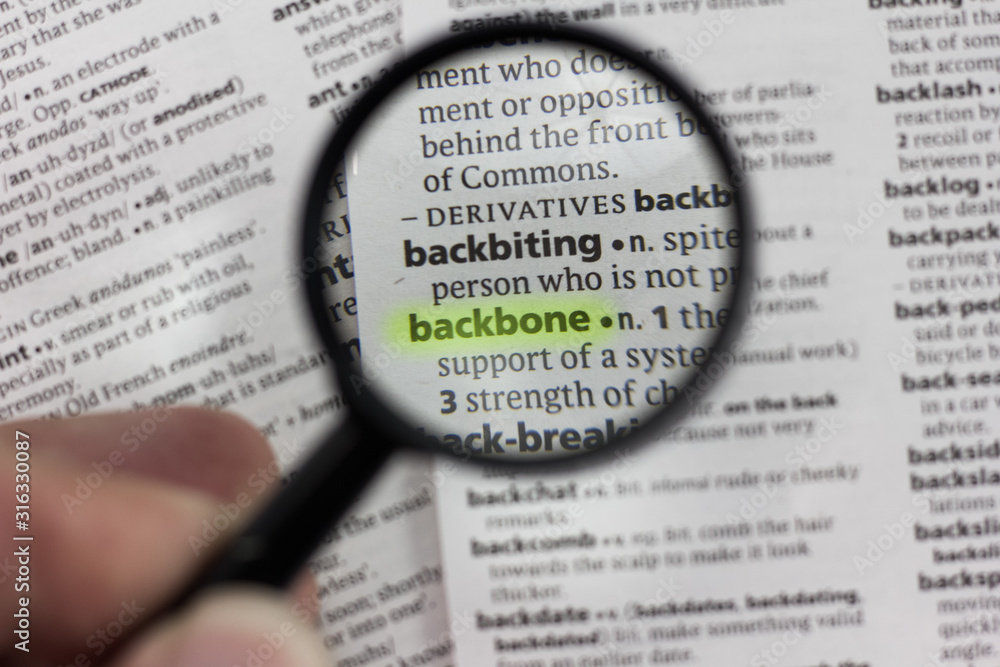 The word or phrase backbone in a dictionary. The word or phrase backbone in a dictionary.
