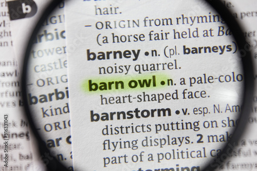 The word or phrase barn owl in a dictionary.