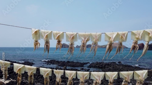 Drying squid in the wind