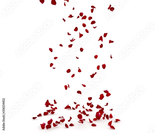 Fototapeta Naklejka Na Ścianę i Meble -  Rose petals fall beautifully on the floor