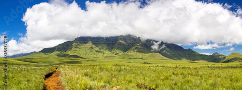 Panorama of Monk's Cowl, Champagne Castle and Cathkin Peak on a sunny day, view from a grassy plateau with a small hiking trail leading to Blindman's Corner, Drakensberg, South Africa photo