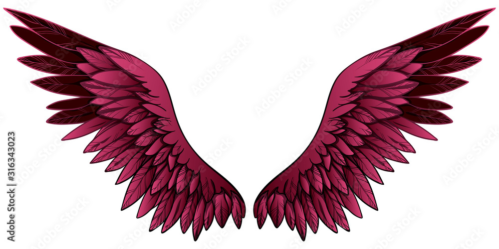 Obraz Piękne jasne bordowe skrzydła gradientowe, ręcznie rysowane wektor