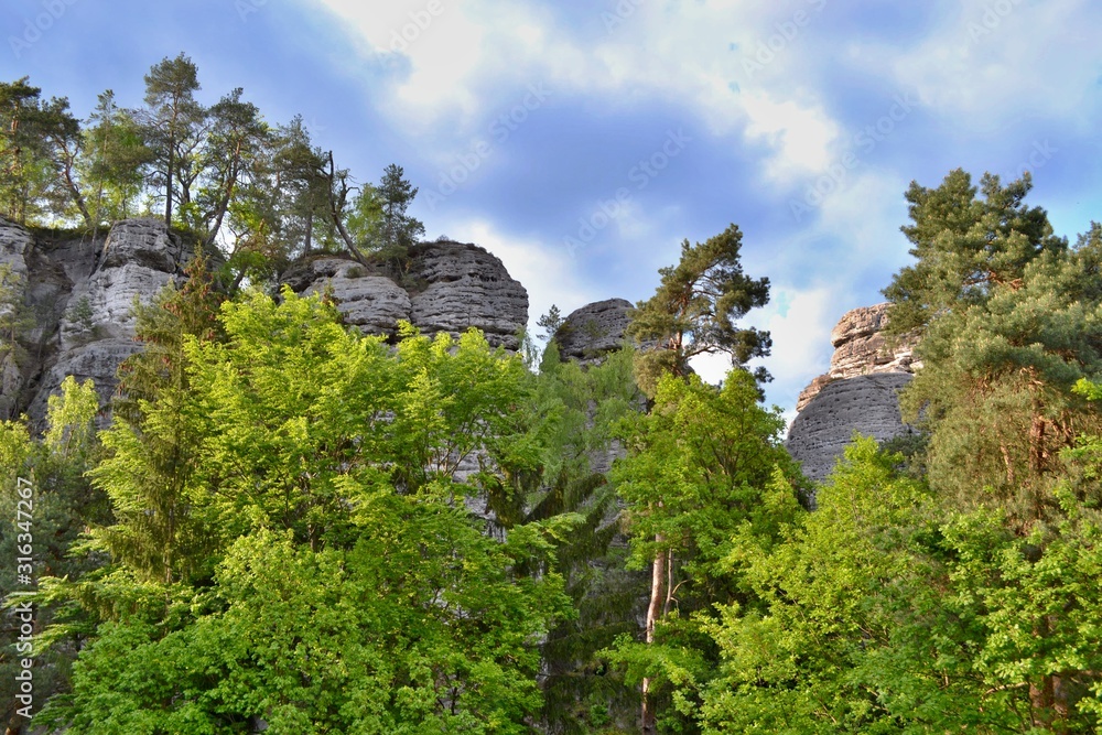 High sandstone towers partly covered with lush green trees. Cloudy sky, Bohemian Paradise, Czech Republic. 