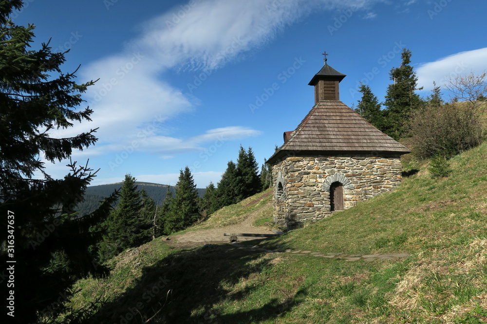 Vřesová studánka -  spring near Červenohorské sedlo in the Jeseníky Mountains in the Czech Republic