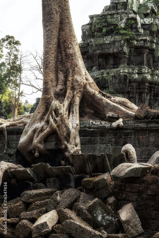 Angkor Wat Archaeological Park in Siem Reap, Cambodia UNESCO World Heritage Site