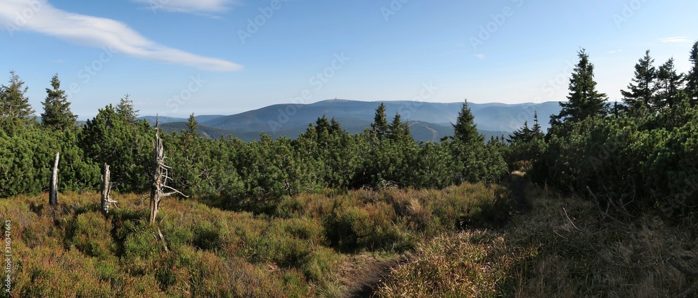 panorama of the Jeseníky mountains with the peak of Praděd from the slope of Červená hora in the Czech Republic
