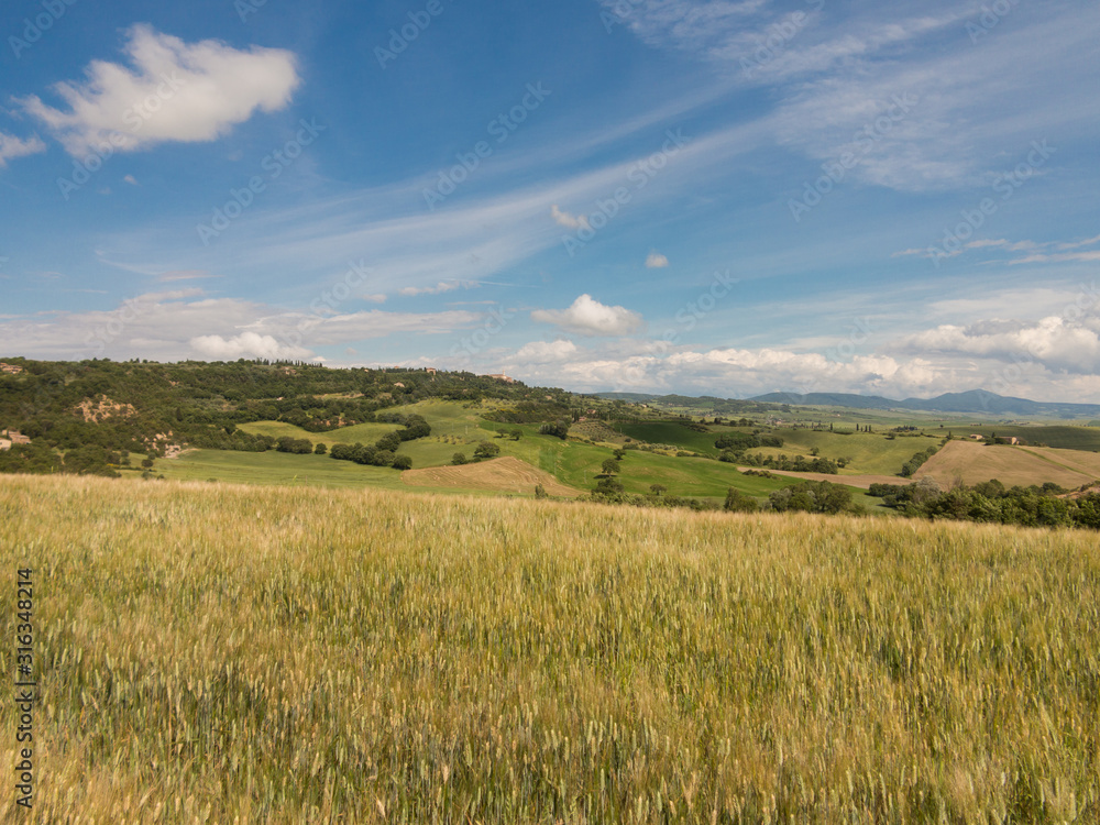 Italian picturesque fields during summer