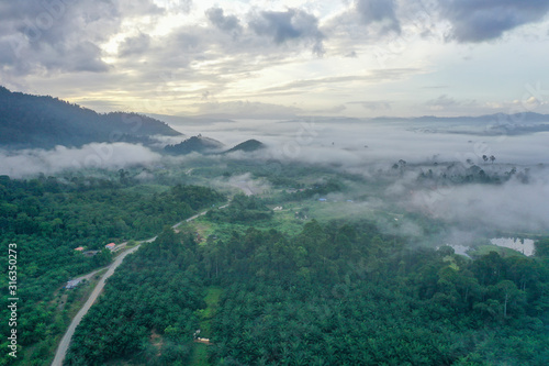 Aerial view misty and foggy morning at the Imbak Village in Tongod, Sabah, Malaysia, Borneo. Certain part with rainforest jungle and palm oil plantation. photo