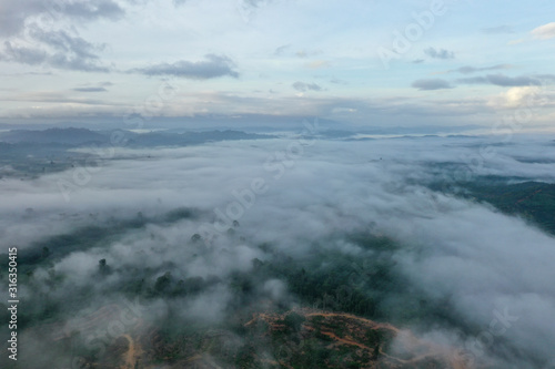 Aerial view misty and foggy morning at the Imbak Village in Tongod  Sabah  Malaysia  Borneo. Certain part with rainforest jungle and palm oil plantation.