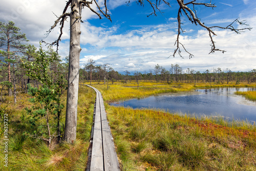 Fotografia Viru bog in Lahemaa National Park, Estonia
