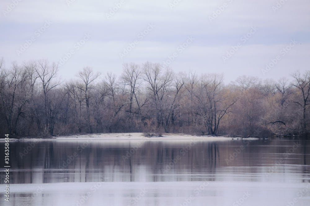 Fototapeta premium Landscape with lake and trees in winter.