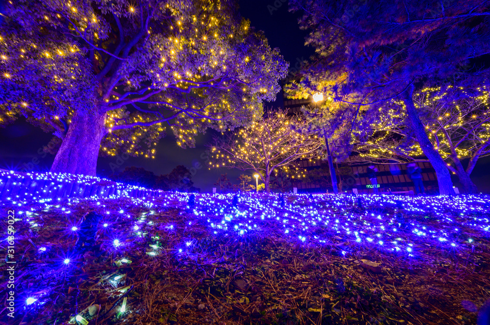 冬の小倉イルミネーション夜景 Stock Photo Adobe Stock
