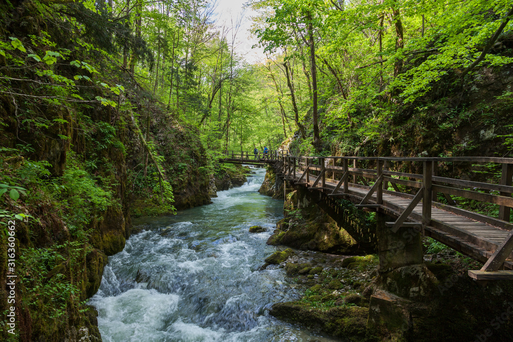 Rapids in the canyon with the footbridge of the Kamačnik River in spring, Croatia Rapids in the canyon with the footbridge of the Kamačnik River in spring, Croatia