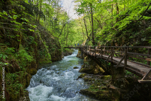 Rapids in the canyon with the footbridge of the Kama  nik River in spring  Croatia
