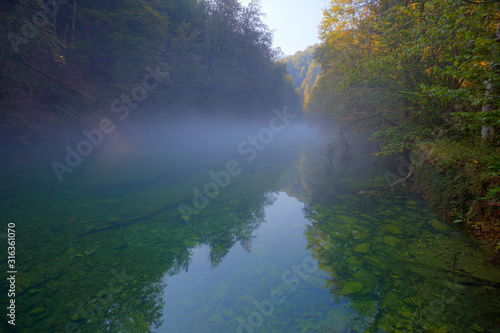 Morning mist on the Kamačnik River, Croatia © Goran