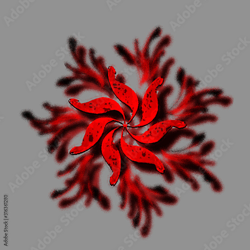 closeup of red flower