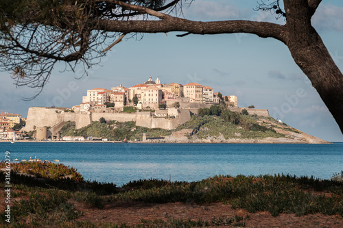 Citadel of Calvi in Corsica photo