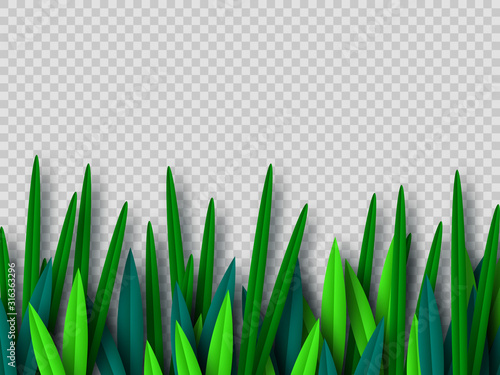 Vector green grass border isolated on transparent background. Paper cut style. Spring or summer plant leaves.