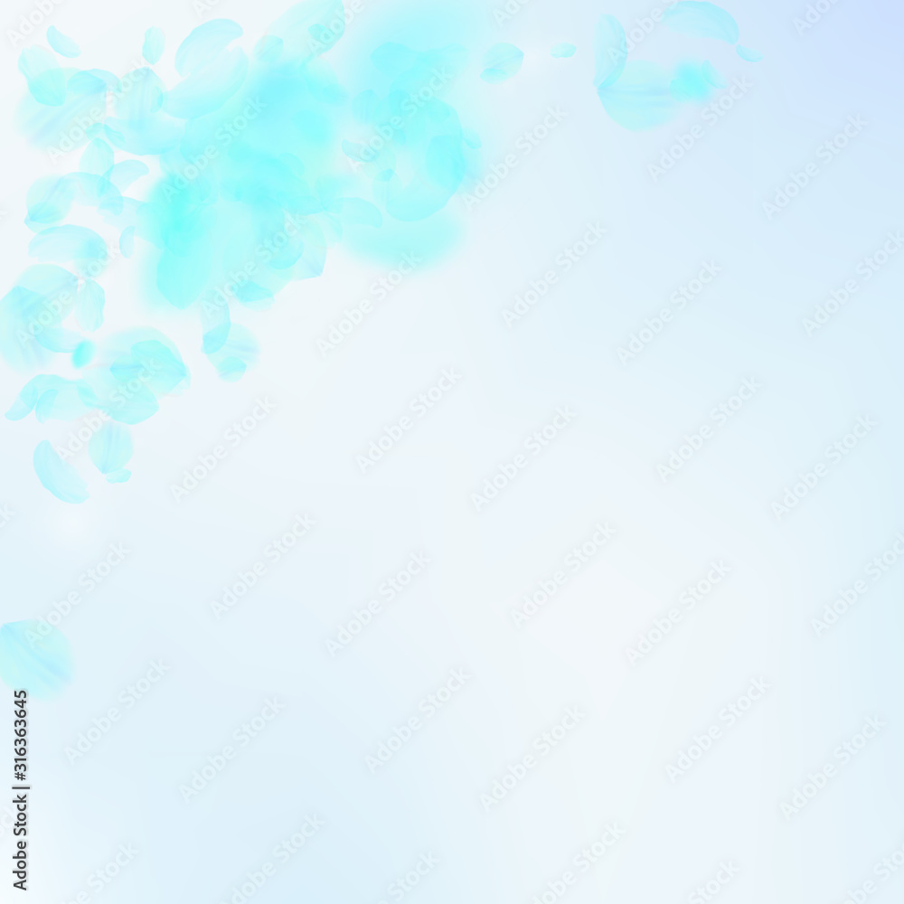 Turquoise flower petals falling down. Immaculate r Turquoise flower petals falling down. Immaculate r