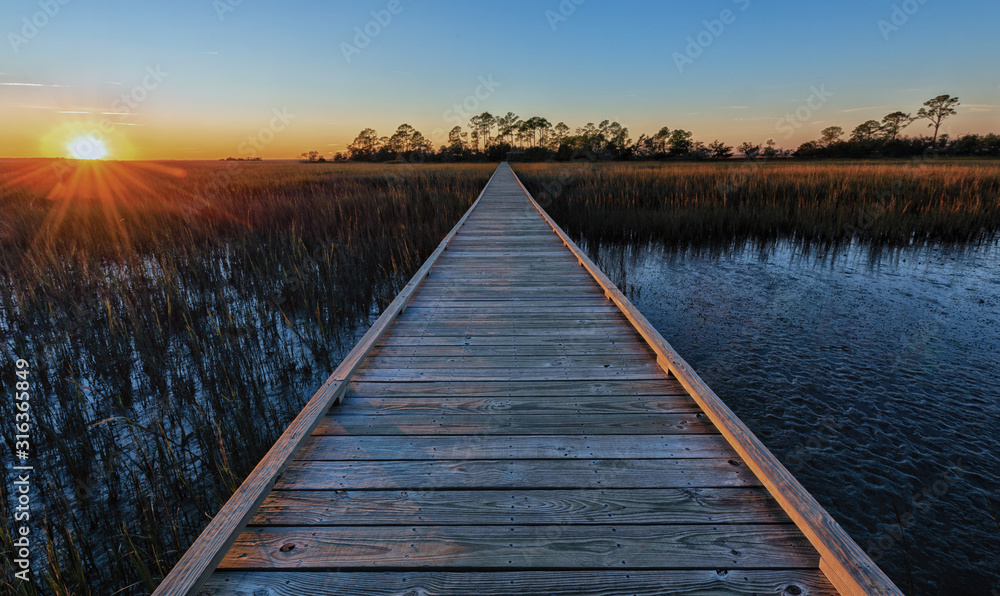 Fototapeta premium Waiting 