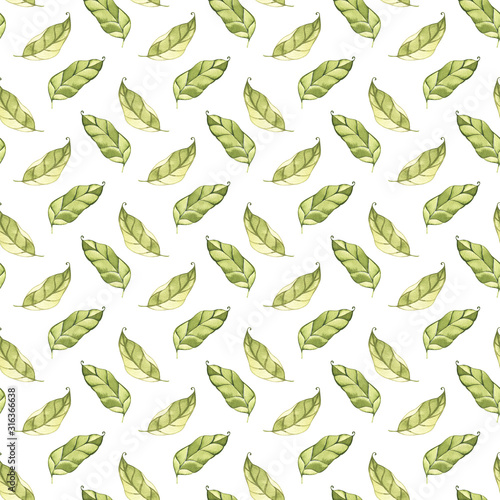 Spring tender green leaves, watercolor, pattern, abstract, wallpaper.