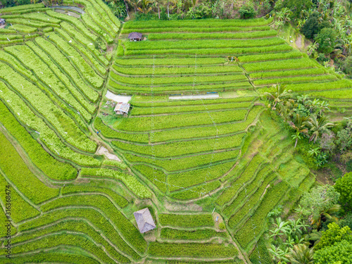 Aerial top view of rice terraces. Agricultural landscape of north Bali from drone. Jatiluwih Rice terraces UNESCO World Heritage. Bali, Indonesia. Travel - image. photo