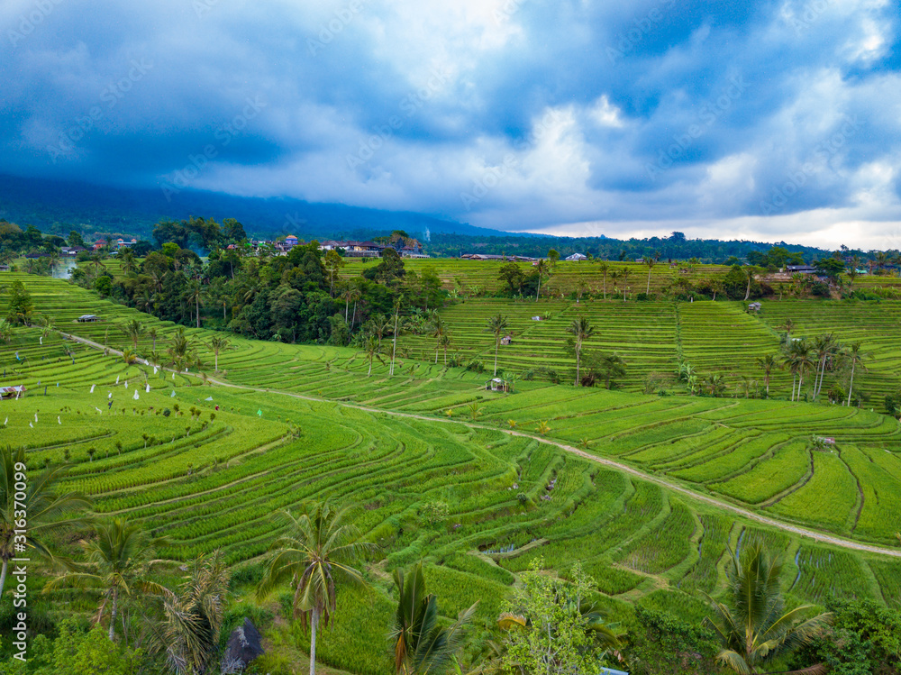 Bali rice field terrace aerial footage taken during cloudy day in Jatiluwih Unesco heritage protected landscape and famous movie set in Indonesia
