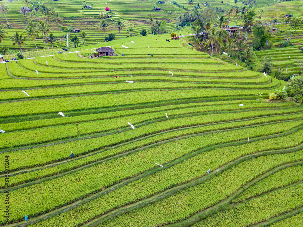 Aerial top view of rice terraces. Agricultural landscape of north Bali from drone. Jatiluwih Rice terraces UNESCO World Heritage. Bali, Indonesia. Travel - image. Aerial top view of rice terraces. Agricultural landscape of north Bali from drone. Jatiluwih Rice terraces UNESCO World Heritage. Bali, Indonesia. Travel - image.