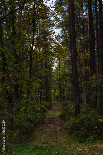 Ruegen Herbst tag outdoor reise © Dirk