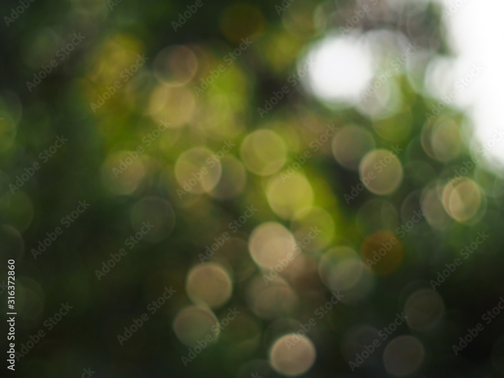 Natural bokeh. Green light bokeh nature background. Abstract blurred background.