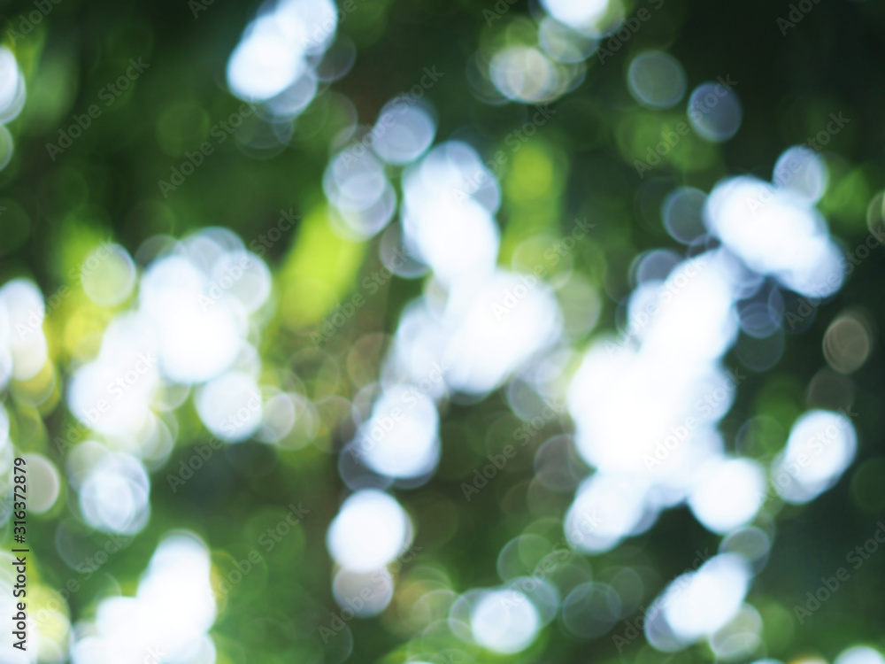 Natural bokeh. Green light bokeh nature background. Abstract blurred background. Natural bokeh. Green light bokeh nature background. Abstract blurred background.