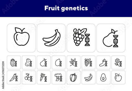 Fruit genetics line icon set. Eggplant, lemon, dna spiral, vegetables. Food concept. Can be used for topics like genetics, agriculture, GM food