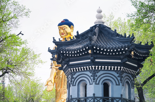 Golden standing buddha jile temple harbin china photo