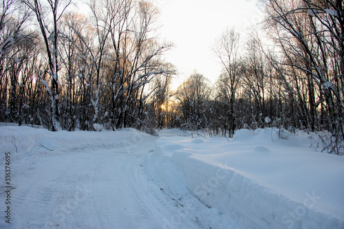 A cleared snowy road in the forest. Naked trees in the evening .winter landscape