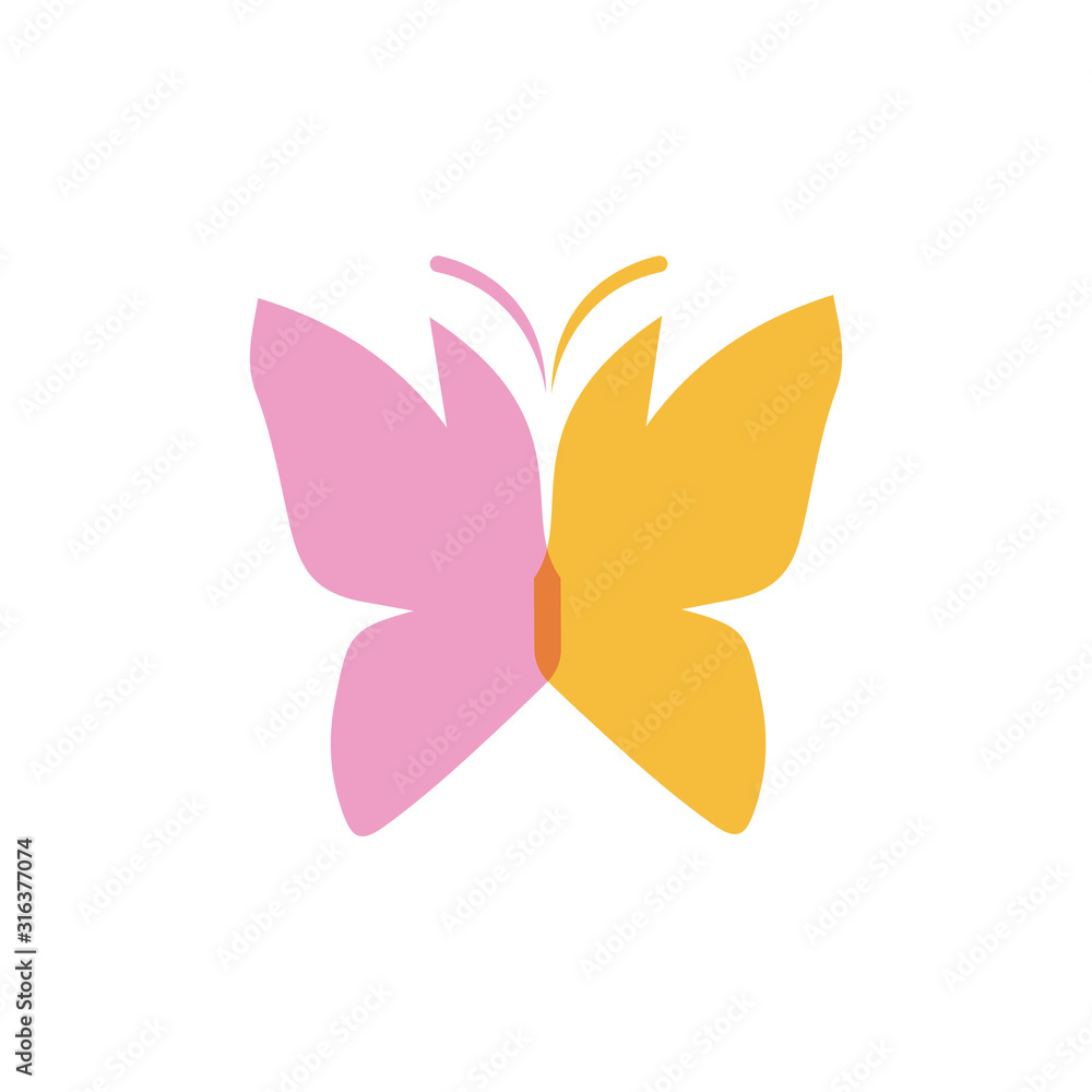 Fototapeta premium Beauty Butterfly Logo Template Vector icon design