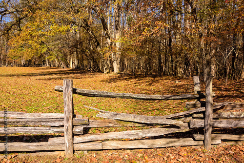 Natures colors in Autumn and broken Wooden Fence