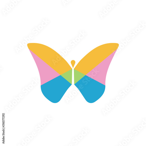 Beauty Butterfly Logo Template Vector icon design